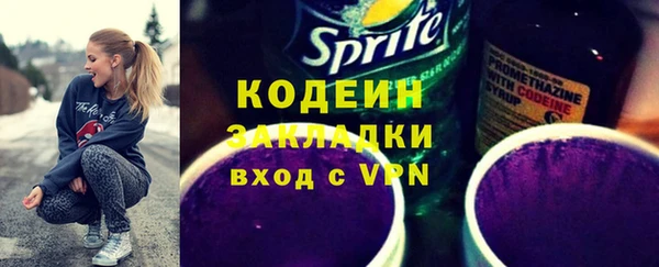 apvp Иннополис