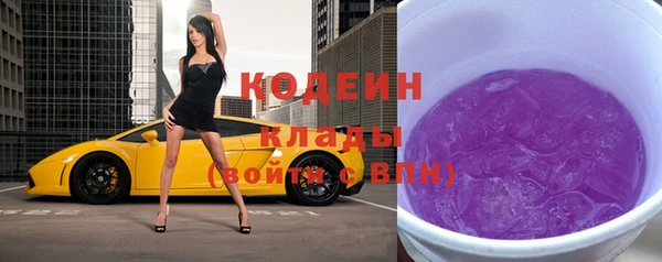 эйфоретик Сосновка