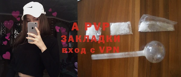 ПСИЛОЦИБИНОВЫЕ ГРИБЫ Сосновый Бор