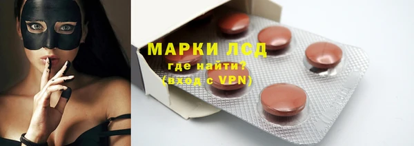 apvp Иннополис