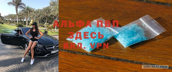 apvp Иннополис