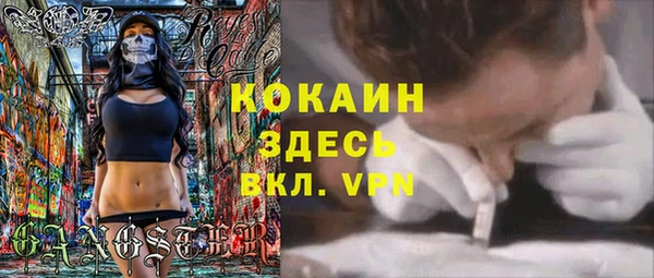 эйфоретик Сосновка
