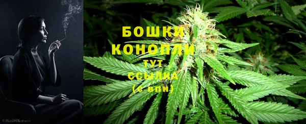 ПСИЛОЦИБИНОВЫЕ ГРИБЫ Сосновый Бор