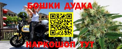 сатива Краснодар