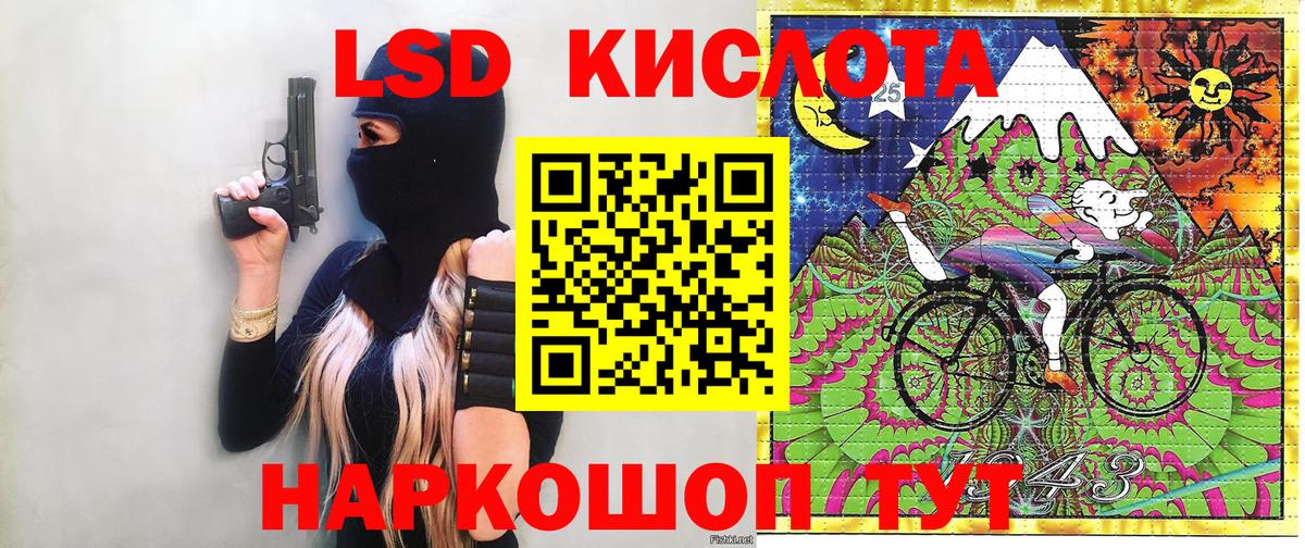 Псилоцибиновые грибы Спасск-Дальний