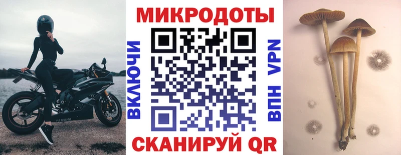 Псилоцибиновые грибы GOLDEN TEACHER  Спасск-Дальний 