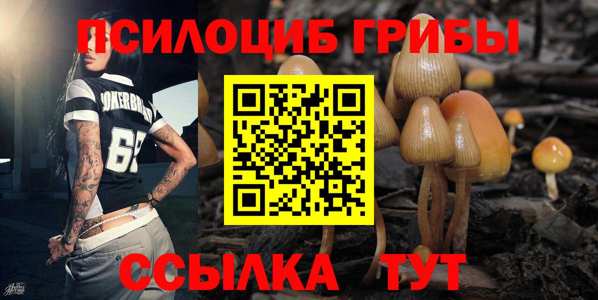 Псилоцибиновые грибы MAGIC MUSHROOMS  где купить наркоту  Спасск-Дальний  Псилоцибиновые грибы Cubensis 