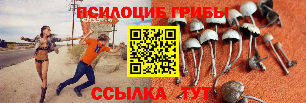 Спасск-Дальний  Галлюциногенные грибы MAGIC MUSHROOMS  Вход с VPN 