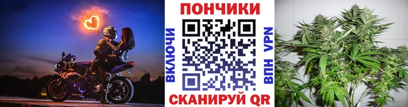 Каннабис план  Спасск-Дальний 